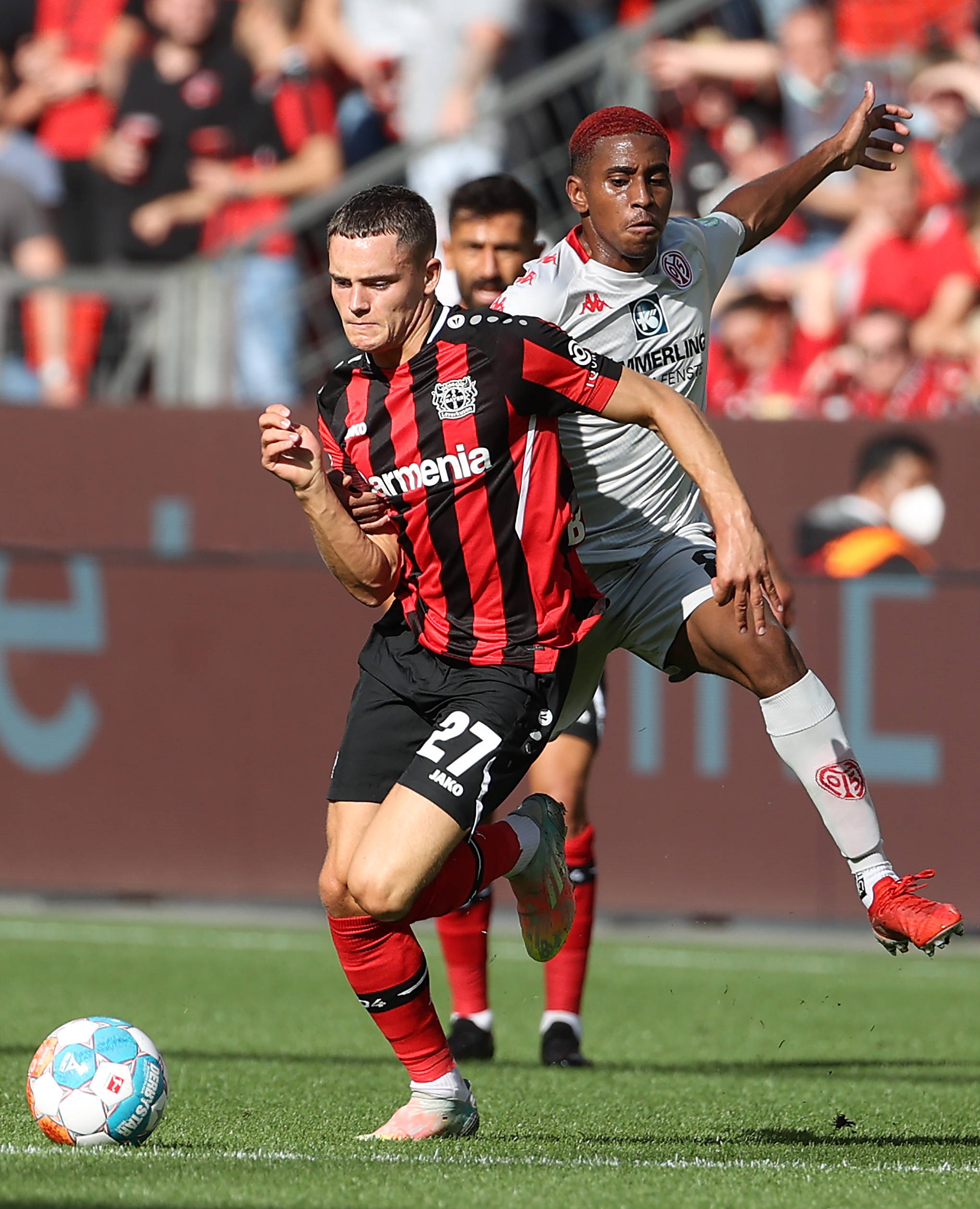 少数爱好者 少数爱好者