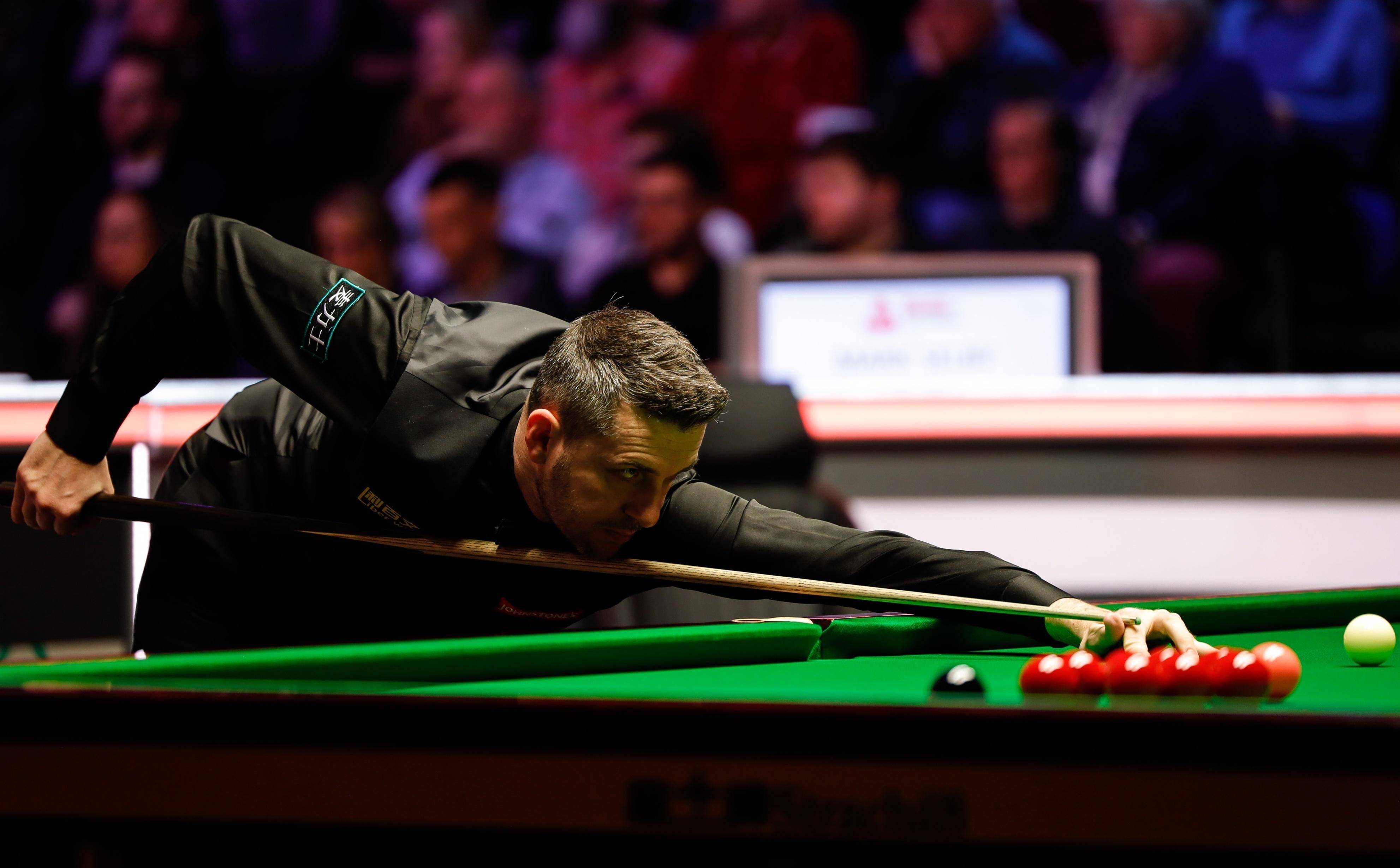 在未来的澳 在未来的澳