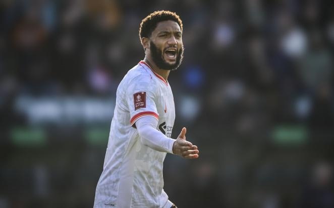 他仍然对球 他仍然对球