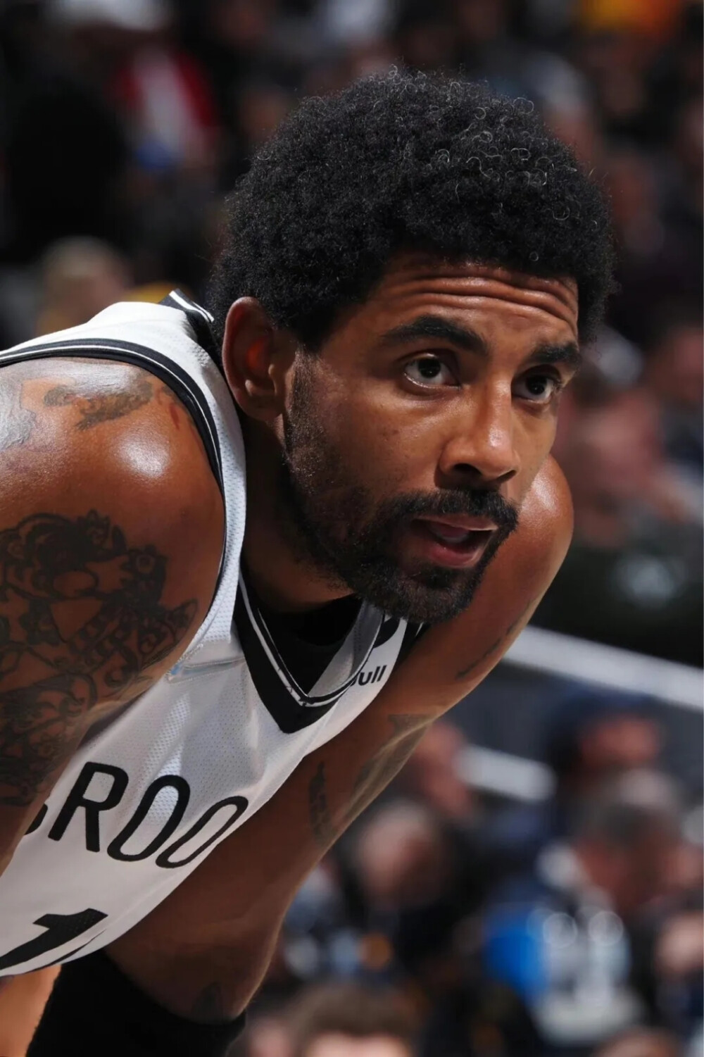 从首日就显 从首日就显