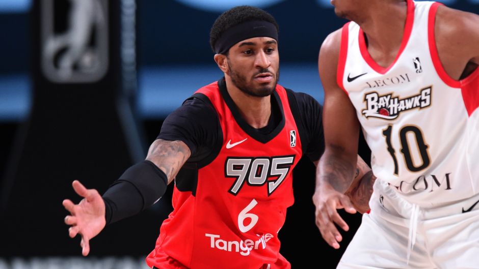 芬兰北极羽 芬兰北极羽