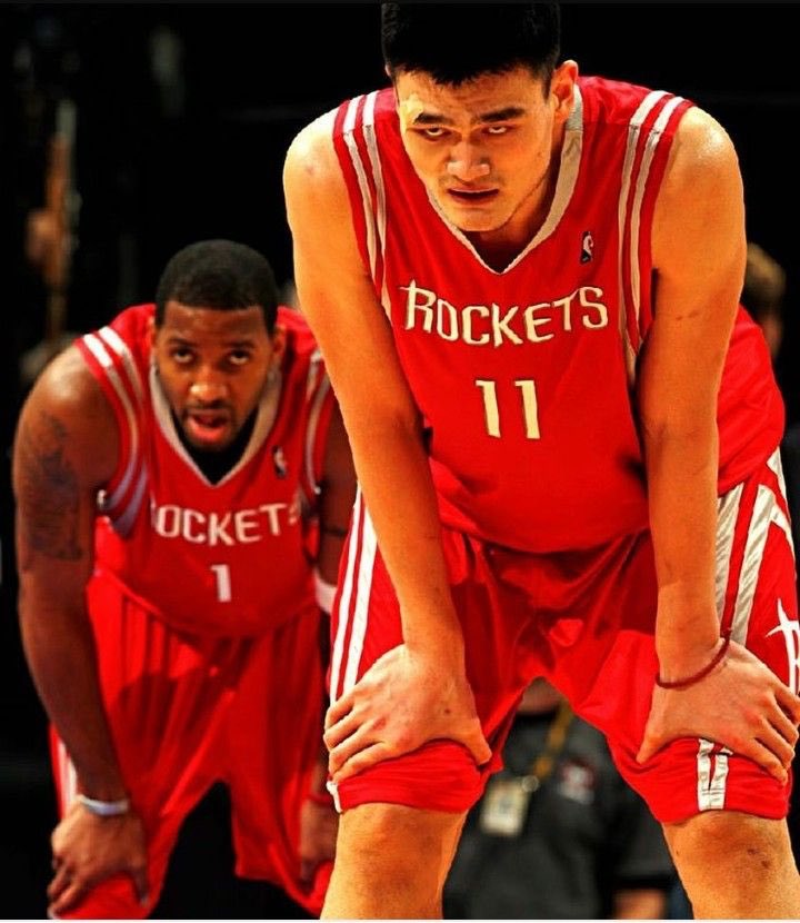 关的长尾组 关的长尾组